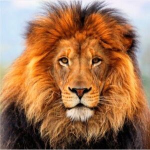 🎬 ♦️Boujean Bay Is Live ♦️ 🎬